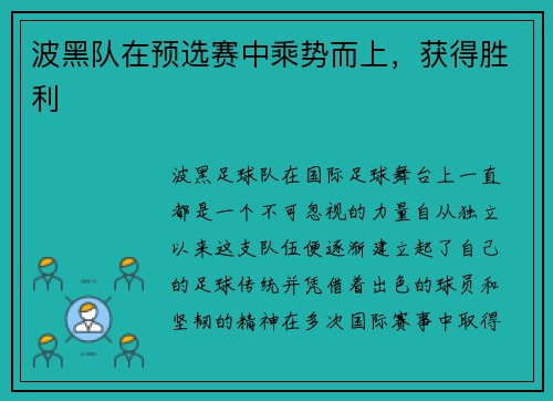 波黑队在预选赛中乘势而上，获得胜利