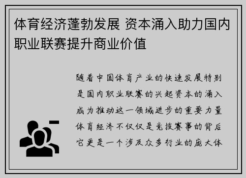 体育经济蓬勃发展 资本涌入助力国内职业联赛提升商业价值